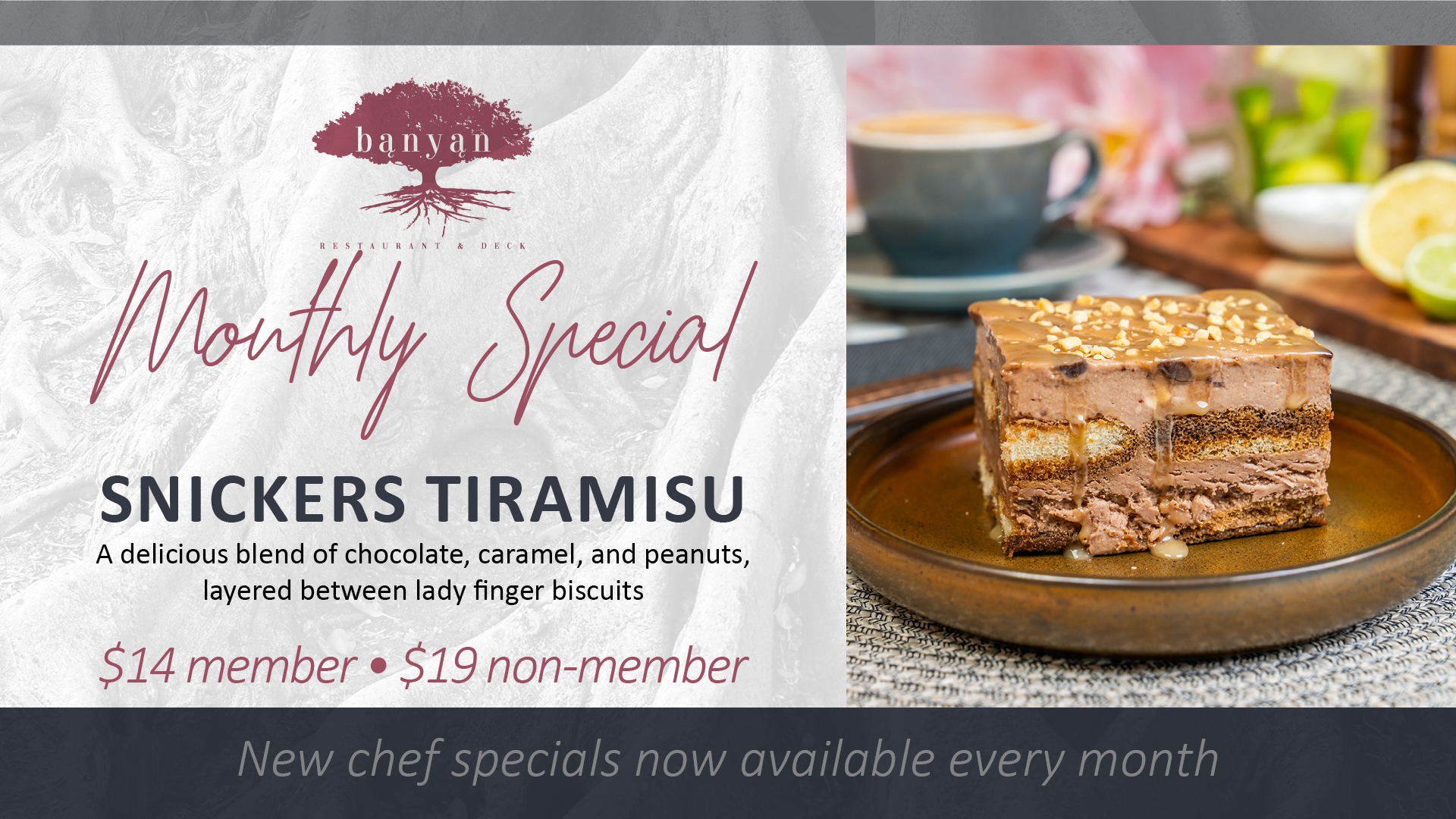 Banyan Screens January Monthly Specials3