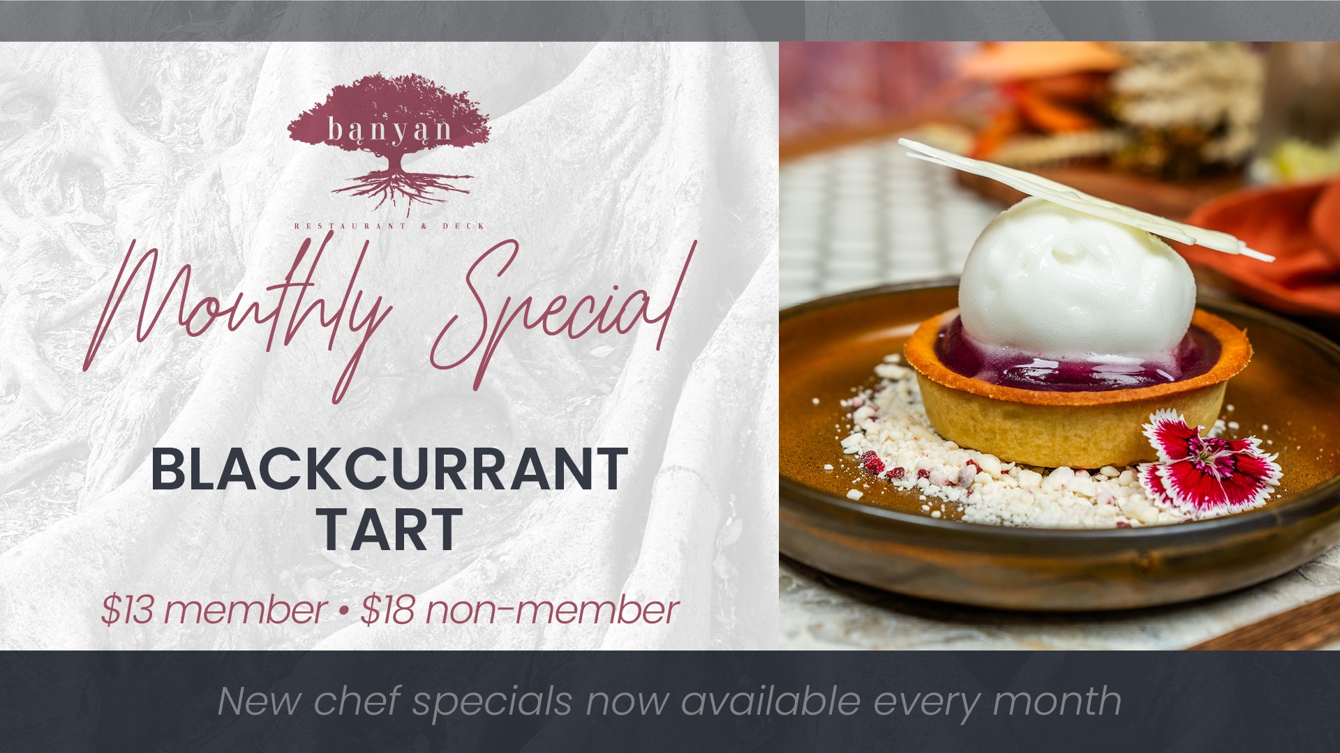 Banyan Screens March Monthly Specials3